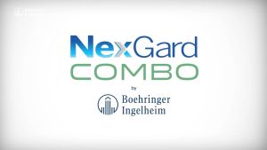 NexGard COMBO - Ống nhỏ gáy phòng nội ngoại kí sinh dành cho mèo - 3 ống/hộp