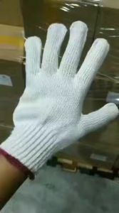 Cotton Glove 12pairs/1Dz