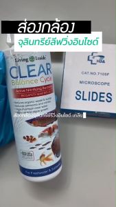 คุณภาพน้ำและสัตว์น้ำ Living Inside ปรับสภาพ บ่อปลา ตู้ปลา ย่อย ลดกลิ่น คัดสายพันธุ์ จุลินทรีย์ แบคทีเรีย