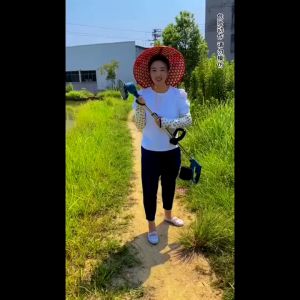 Máy Cắt Cỏ PIN Cầm Tay Động Cơ Không Chổi Than Máy Cắt Cỏ Mini Dùng PIN Hitachi 199V Cao Cấp Bảo Hành 12 Tháng