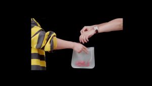 EVA Ziplock Food Storage Bag Reusable Food Grade Quality Freezer Plastic Bag Vegetable Fruit Preservation Beg Simpan 保鲜袋