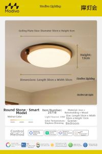 FANCY LAMP CLUB | Stylish Modern Aged Egg-shaped Full Spectrum Eye-protection Ceiling Light