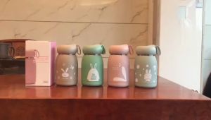304 Stainless Steel Mini Thermal Flask 320ML