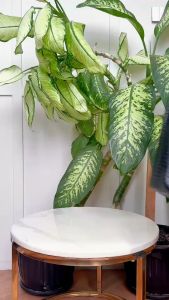 JIMS HONEY TAS SELEMPANG WANITA RYNE BAG