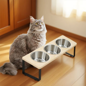Elevated Cat Bowls with 3 Stainless Steel Bowls 15° Tilted Anti-Vomiting Raised Cat Food Bowl for Small Cats Puppies Accessories
