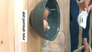 Alat Pemisah Kuning Dan Putih Telur / Egg Separator / Sendok Pemisah Kuning Telor MPASI BAYI