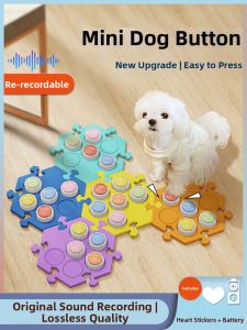 VOA | Pet Communication Button Voice Recording Training