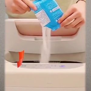 Pembersih Tabung Mesin Cuci Kotor Bubuk Pencuci Tangki Berkerak 100gr Serbuk Washing Machine Drum Cleaner