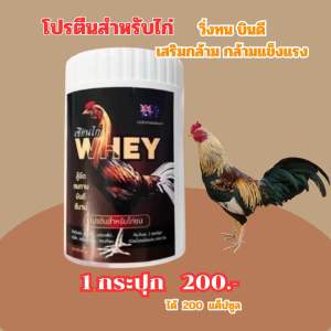 โปรตีนไก่ ( 1 กระปุก 200 เม็ด ) เซียนไก่เวย์ Whey โปรตีนสัตว์ปีก บินดี บินสูง เล็บแข็งแรง เสริมภูมิคุ้มกัน