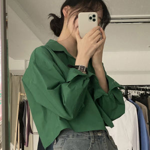 Chic Short French Style Shirt Womens Fashion Back Split Design Sensation Small Audience Straight Tube Long Sleeve Top