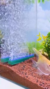 Batu Aerator BALOK Persegi Panjang 4 INCH - Air Stone 10 cm 10cm Gelembung Udara Oksigen Aquarium Aquascape Kolam Ikan Pemberat Selang Airator 3/16 Mesin Pompa Filter Aerasi