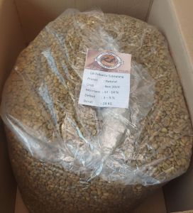 Biji Kopi Mentah (Green Bean/GB) Robusta Sidikalang Natural 1 KG  dan 500 Gram