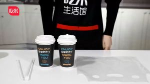 100PCS Coffee Drink Milk Tea Plastic Bag Disposable Transparent Packing Bag Single Double Cup PE Takeaway Handbag