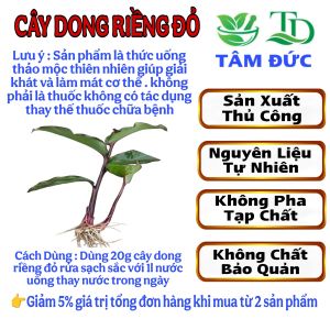 100g cây dong riềng đỏ khô