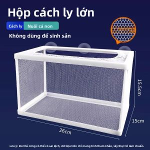 VOA | Hộp Nuôi Cá