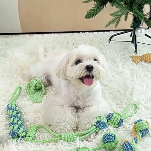 Petus ของเล่นสุนัข ของเล่นสัตว์์เลี้ยง ของเล่นตุ๊กตาสุนัข Dog Toy ทำให้ผ่อนคลาย ทนต่อการกัด บรรเทาความเบื่อ