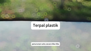 NEW! Tahan Air 99%/Terpal Plastik Bening/Plastik UV Green House/Tebal Plastik Bening Transparan/Terpal Anti Air Untuk Tanaman Teras Mobil Tahan Debu Yg Tahan Hujan