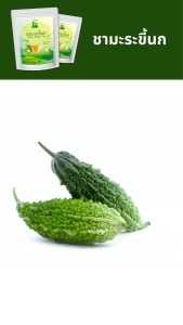 ชามะระขี้นก ตราไร่กฤติยา (Bitter Melon Tea)