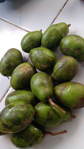 kedondong segar 1kg