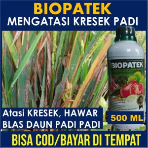 Fungisida Anti Jamur Blas Pada Padi OBAT Kresek Padi OBAT Blas Padi dan Hawar Padi Obat Semprot Hawar dan Blas Padi
