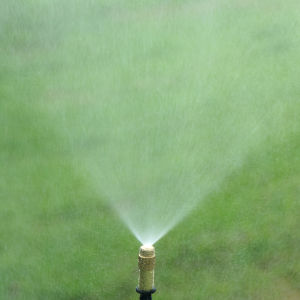 ชุดพ่นหมอก ชุดหมอก หมอกต้นไม้ หมอกไอน้ำ เพิ่มฟรี 1 เมตร 11 เมตร 11 พ่นละอองน้ำแรงดันต่ำ ชูฟื้นและผ่านการผ่าตัด