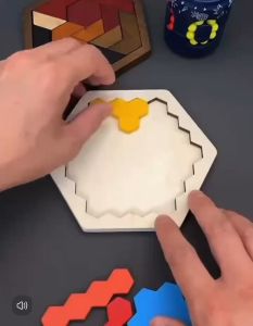 JLT Hexagon IQ Puzzle: Developing Toys for Kids & Educational Brain Teasers