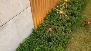 Outdoor Solar Fireworks Light 8 Modes Solar Ground Plug Fireworks Light RAYA Lampu Taman Solar Bunga Api Garden Light