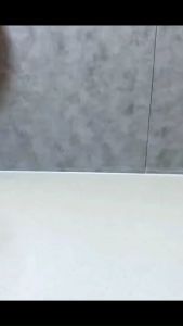 Ready Stock- 1100ML Large double drinking Dual Use Bottle Large Bottle Easy carry handle Straw Portable Plastic -DUB7 ✅✅✅✅✅✅**** PRINTING CUSTOM LOGO AVAILABLE *****✅✅✅✅✅✅