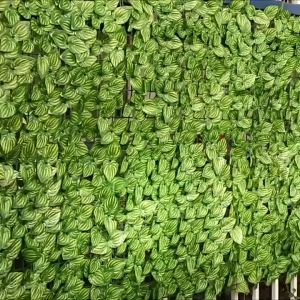 Artificial Leaf fence Screening Roll 50*300cm 50*100cm UV Fade Protected Privacy Hedging Wall Landscaping Garden for Fences