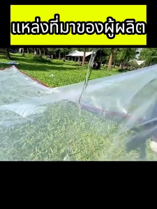monqiqui กันน้ำกันฝน100% พลาสติกใส พลาสติกใสกันฝน ผ้าใบใส ผ้าใบกันแดดกันฝน  PVC ผ้าใบกันแดดฝน ผ้าใบกันเเดดกันฝน พร้อมเย็บขอบและตอกตาไก่