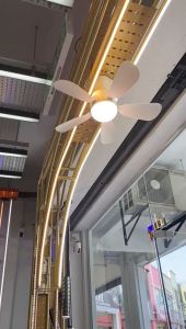 IWACHI led ceiling fan lights free E27 BATTERN WALL HOLDER WITH COVER