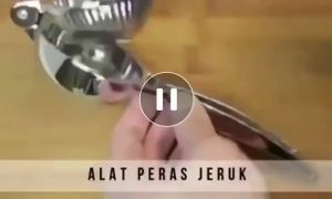 Alat Peras Jeruk Lemon Nipis Stainless Steel Manual Anti Karat Pemeras Jeruk Praktis Murah Portable