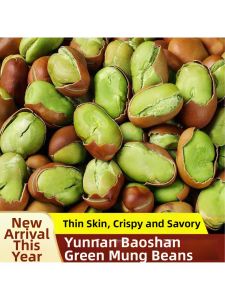 Roasted Green Heart Broad Bean Snack Small Original