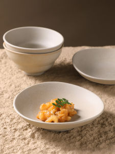 Japanese Ceramic Plates and Bowls for Desserts Appetizers Meals