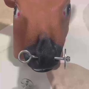 Supper Hidung Lembu Keluli Tahan Karat Cincin Hidung Cincin Hidung Gesper Hidung Hidung Mesin Traktor Alat Penternakan Alat Keaan Khas Pagi
