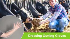 10pairs Disposable Extended Housework Long Gloves Food Grade Kitchen Dishwashing Cleaning Gloves