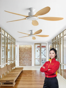 HUANGJIANG | Silent Inverter Remote Control Ceiling Fan Vintage Style No Light