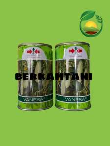 Benih Mentimun Vanesa 50 gram Cap Panah Merah dataran rendah menengah biji bibit model 21 kaleng timun ketimun sayur lalap hijau lalapan rujak hydroponik hidroponik