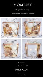 F3 Fashion Simple Style Gift Box Teh hadiah 时尚简约风伴手礼盒 送礼 花茶礼盒 养生茶 花茶 礼物