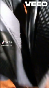 CLARUDO SUBINCO SANDAL SELOP PRIA WANITA PER PACK ISI 6 PASANG FUN CORNER DENGAN PAKING AMAN