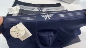 Quần boxer nam ARISTINO sịp đùi nam cotton cao cấp cạp chun mềm mịn thoáng mát thoáng khí kháng khuẩn - ABX056