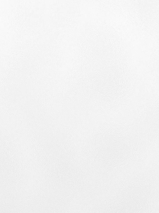 SNUG Borosilicate Glass Lunch Box Keep Airtight Leakproof Food Container Storage Glass Transparent