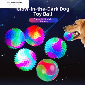 Jiaxun | Glowing Durable Toy Ball for Dogs