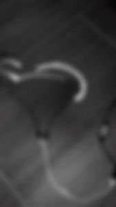 LAMPU LED DEMON RGB / DEVIL RGB KONEKSI BLUETOOTH LED RAPAT Strip Led Warna Berubah Lampu Hias 12 Led 10Cm Lampu Led 24 Led 20Cm Lampu Led Khusus Hiasan - Lazada