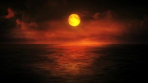 Chris Hein - Solo Viola Kontakt Library