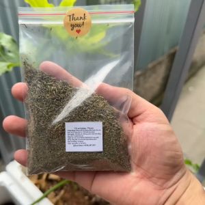 Cỏ xạ hương lá thyme khô túi 20g 50g 100gr - dùng làm gia vị nấu ăn