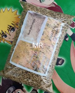 Jual padi huma asli tumbuh di darat pegunungan 1 kg