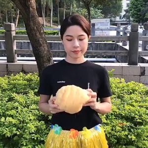 Utopia วิกผมแฟนซี วิกตัวตลก วิกผมคอสเพลย์ วิกฟู ผมหยิก วิกผมฟู แอฟโฟร่ Afro วิกเงาะป่า นางยักษ์ เด็ก ผู้ใหญ่