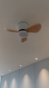 NEW 24inch ceiling fan with light modern wood ceiling fan with led light tricolor dimming 6 speed wind ceiling fan with lights and remote control fan light ceiling fans for living room bedroom dinning garage balcony