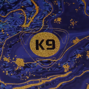 EPZ K9 Headphones 1DD+8BA Hybrid Drivers HiFi IEMS 4.4mm Replaceable Plug Wired Monitor 6N Single Crystal Copper Earphone Cable